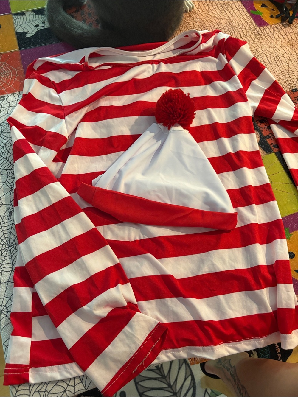 Adult where’s Waldo 2 pce costume